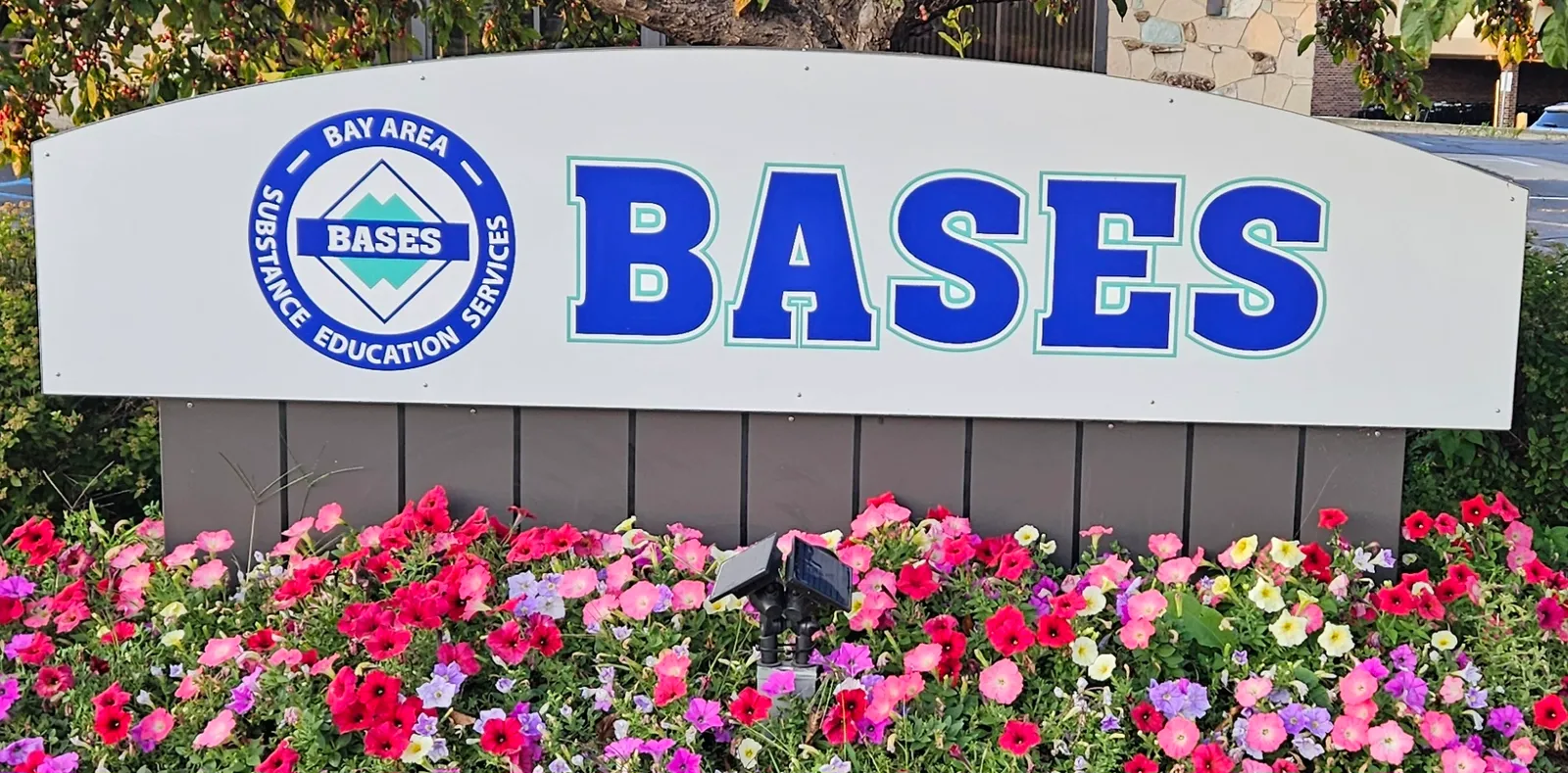 Bay Area Substance Education Services logo